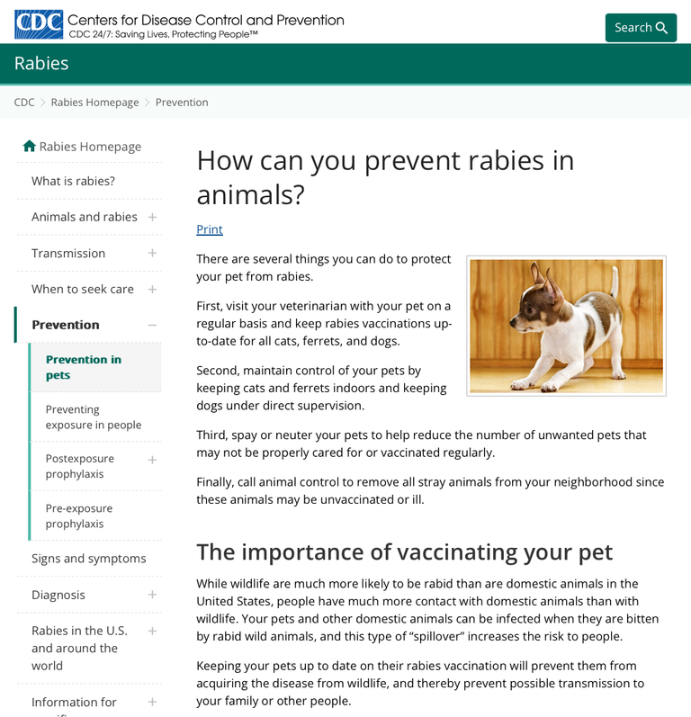 rabies prevention